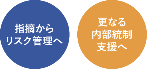 生保・金融機関向け内部監査支援パッケージのイメージ画像